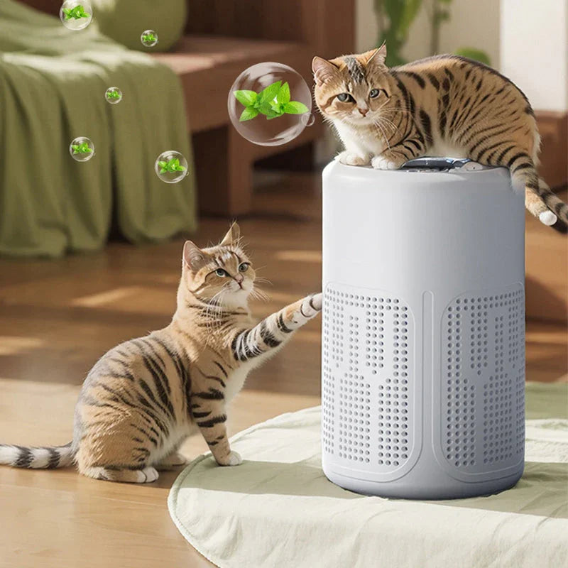⏳Time-Limited Special⏰Home Air Purifier – Multi-Layer Filter, Quiet, Energy-Efficient 🌱🎁Free Gift-10× Filter🎁